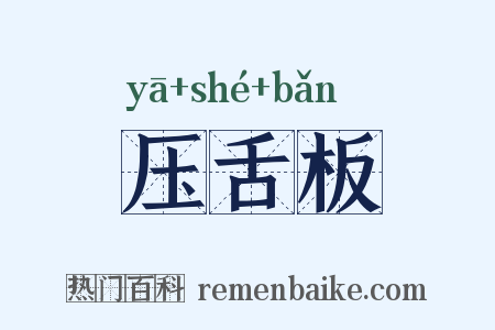 压舌板是什么意思的图片